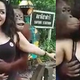 Illustration for article titled Im Pretty Sure These Orangutans Are Trained to Grab Womens Breasts